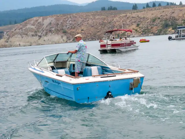 1978 SeaRay Boat in Powerboats & Motorboats in Cranbrook - Image 3