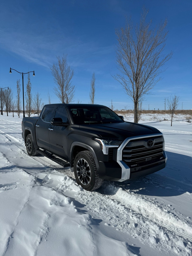 2023 Stealth Tundra Limited Crewmax in Cars & Trucks in Edmonton - Image 4