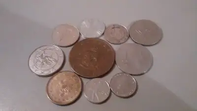 $1 for the entire lot. Pick up only in Etobicoke