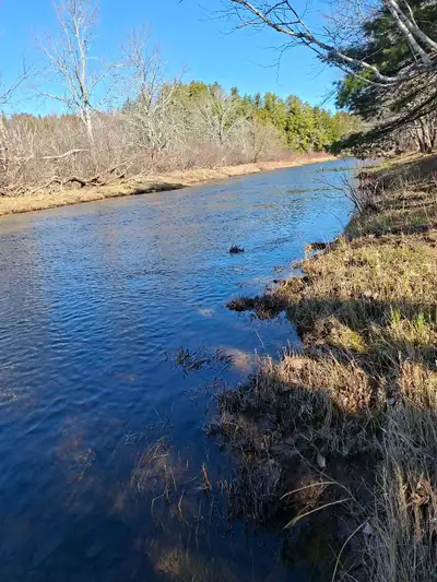 Discover the perfect canvas for your dreams with this pristine piece of land! Nestled in a serene lo...