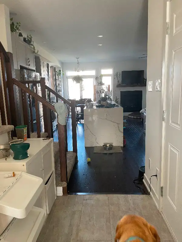 Friendly roommates wanted! Lease takeover. dans Chambres à louer et colocs dans Ottawa - Image 4