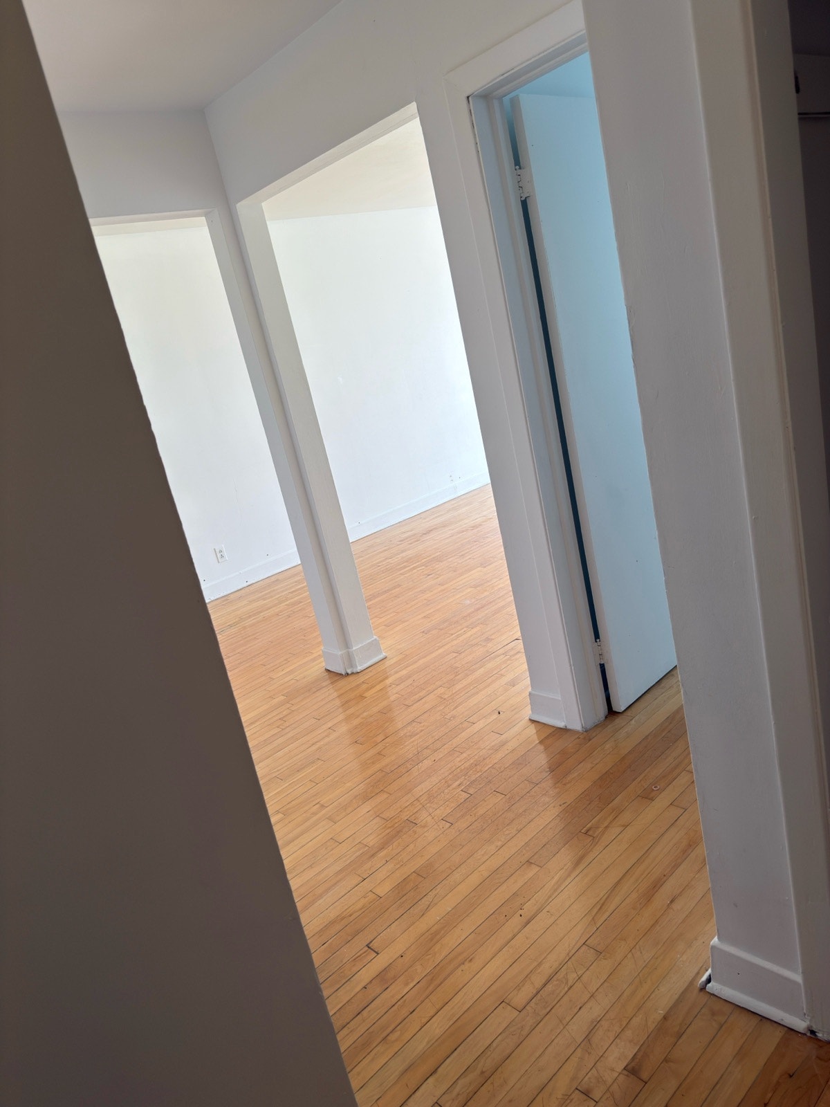 4240 Av. Kindersley — photo 2