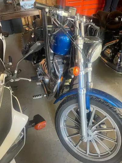 1996 sportster 67.000km runs great needs nothing for safety $4000