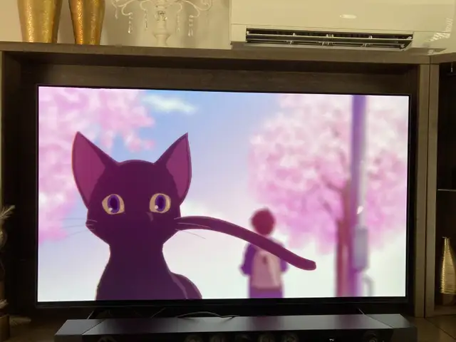 Sony OLED model 2020 (A8H 65 in) for sale in TVs in City of Montréal - Image 5