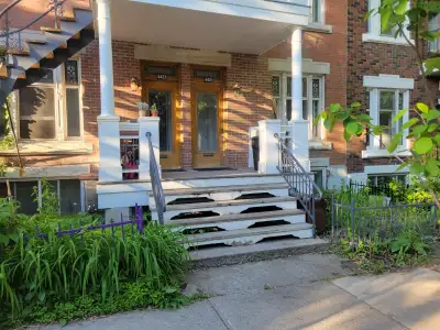 Single Room available in 3 bedroom apartment (Plateau) $750