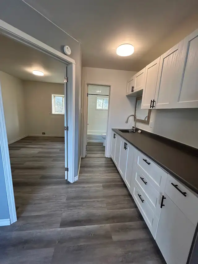 brand new Reno Ground level-one bedroom - center Alexandria | Long Term ...