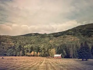 Property with House, Log Cabin and Shed, meadow 20 acress, 60 acress different kind of trees, Vacati...
