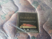 No Stains No Rips BEAUTYREST 10"Queen Size 2 Sides Pillowtop