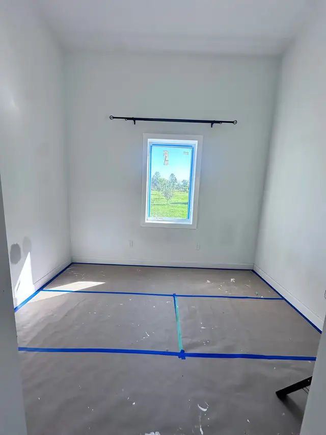 Professional Painter63654774555907124
