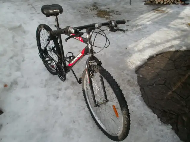 velo de montagne in Mountain in Lévis - Image 3
