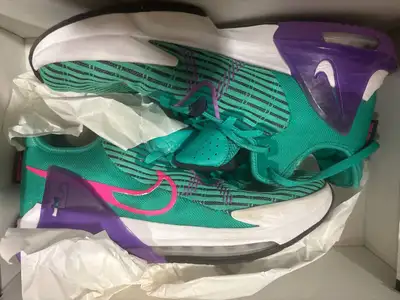 New: Nike LeBron 23 'Shoe Bag' Special Edition Sneakers - Vibran, View more