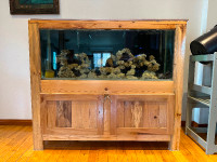 Aquarium 55 gallons avec meuble