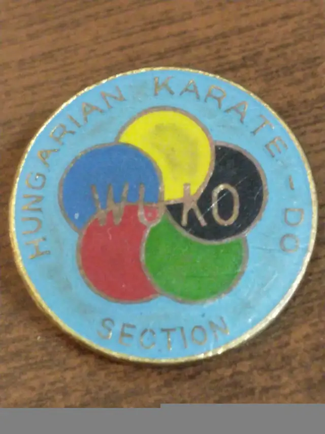 Colourful, circa 1970s Hungary karate pin in Arts & Collectibles in City of Toronto - Image 3