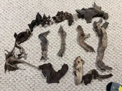 Aquarium Driftwood $5 each, View more