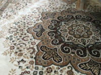Classic Persian Style Area Rug in Neutral Tones
