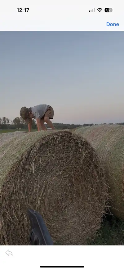 Good quality hay . No rain, View more