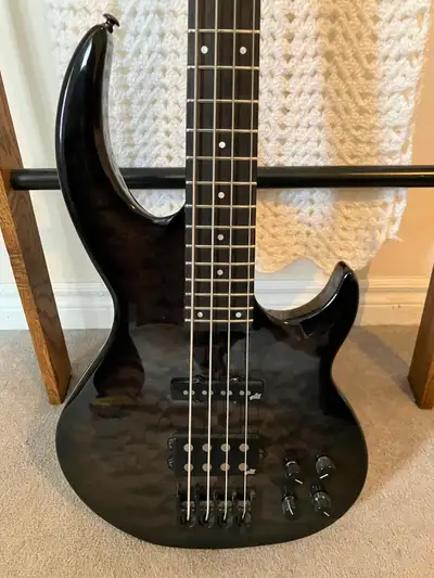 ESP/LTD Bunny Brunel signature bass, View more