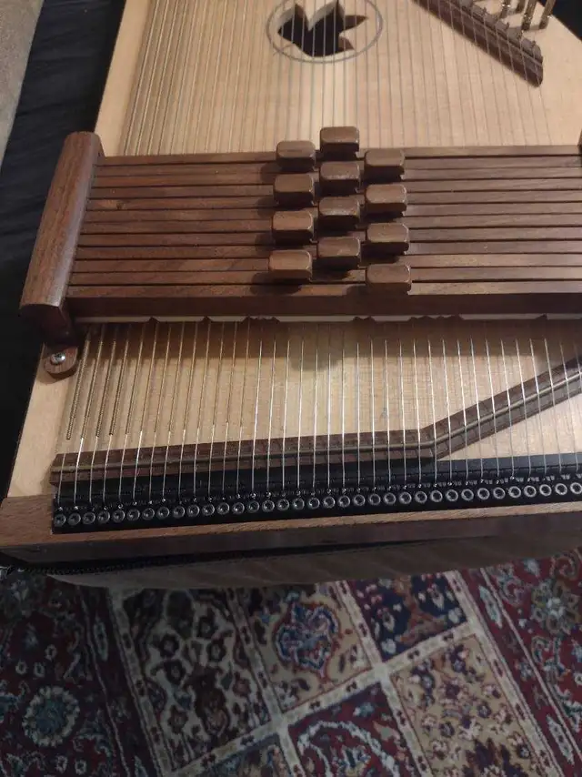 Autoharps in String in Ottawa - Image 5