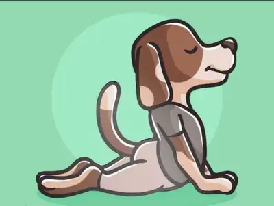 $69 PET POOP WASTE PICKUP AND REMOVAL, View more