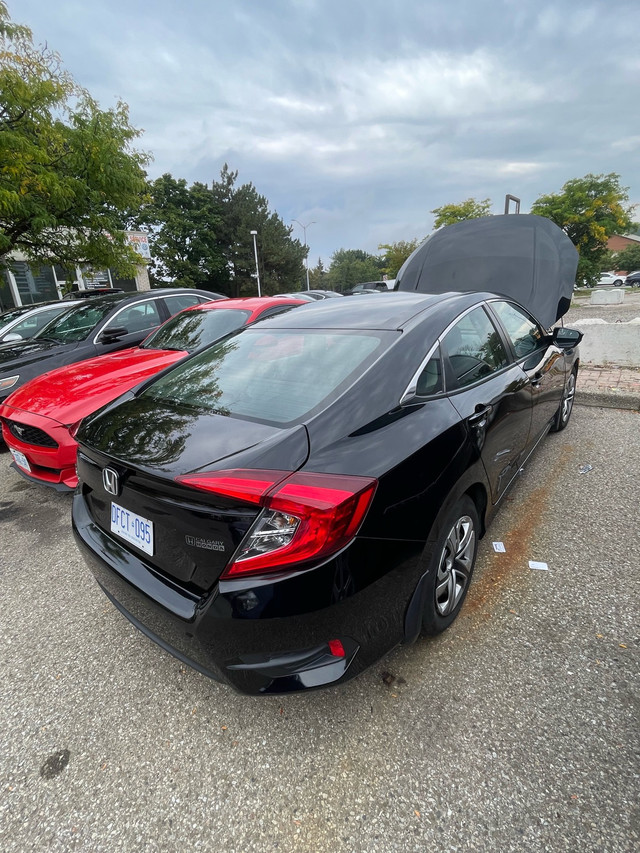 2018 Honda Civic LX in Cars & Trucks in Mississauga / Peel Region - Image 3