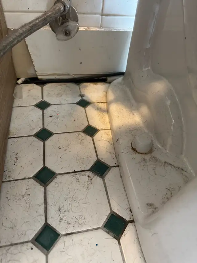 Experienced & Trustworthy House Cleaning 63417619130371124