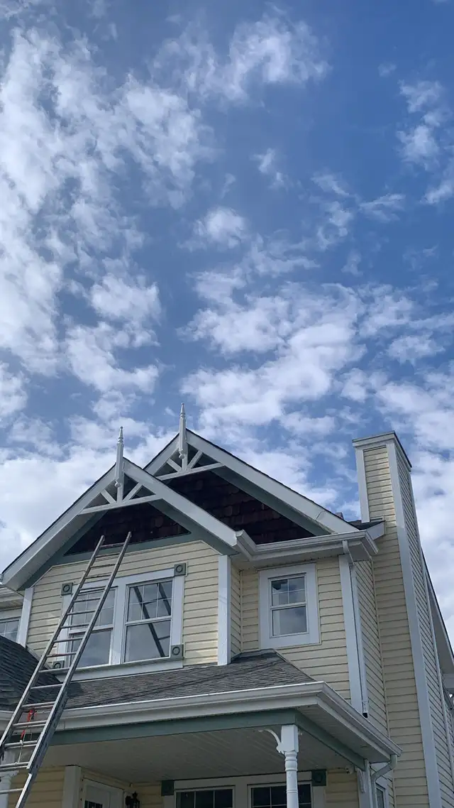 professional painters
