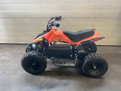 Excellent running electric quad Bought new Always stored in heated garage Battery still in great con...