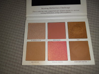 Pretty Vulgar face palette