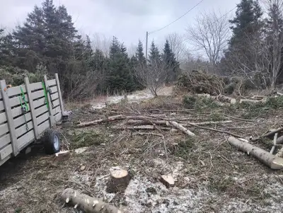 We understand what's it's like to struggle everyday if their any females who either needs a job or i...