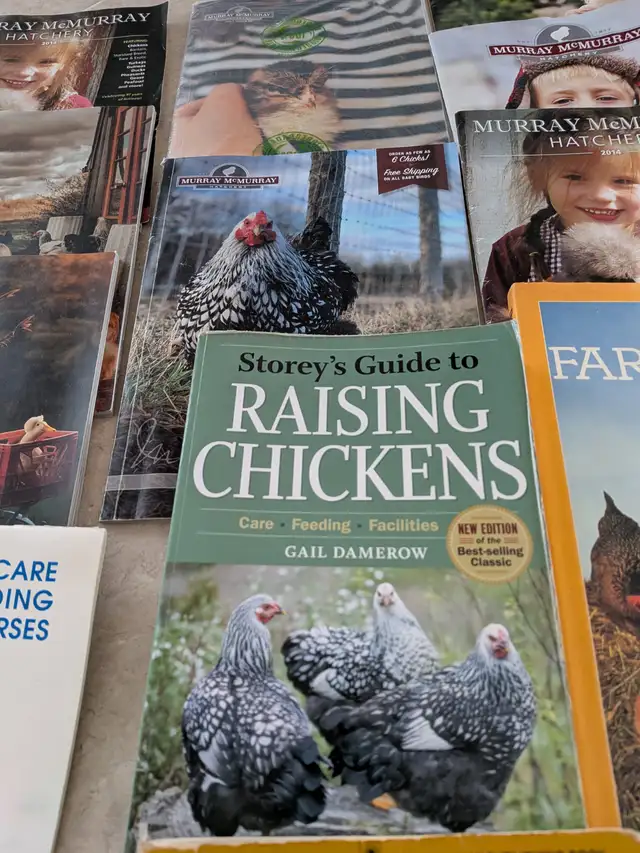 Books b on chickens523049804183654406
