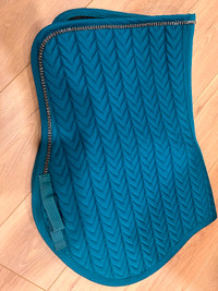 Teal shed row saddle pad, fly veil and halter for horse