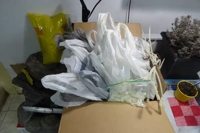 Led 70 Lights C6 Seven Strands Unused $40 in Outdoor Lighting in City of Toronto - Image 3