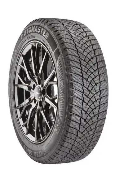 I am selling a single Motomaster Winter Edge II winter tire, size P225/60 R17. Used only for ~450km...