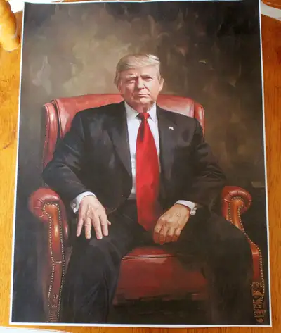 Donald Trump American politician Poster Waterproof Wall Canvas, View more