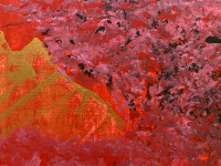 Golden China Cherry Blossom Mini Painting - Eclipse Art