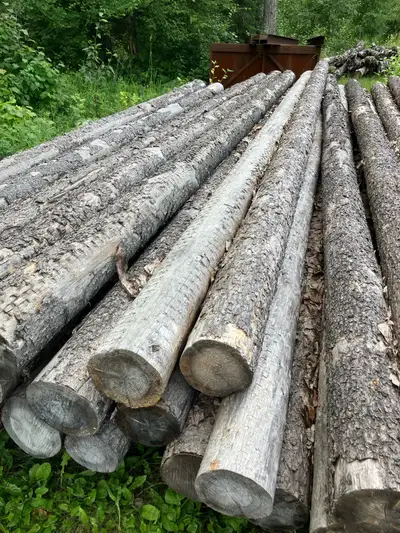 Straight pine logs, 18’ legnth, average 7” diameter on the bigger end, 6” on the smaller end, 42 of...