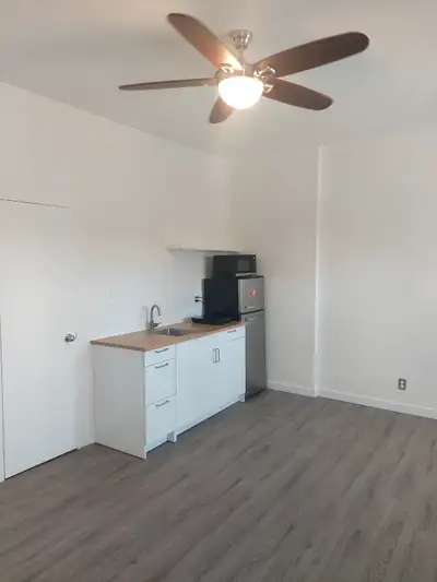 Newly renovated self contained bachelor apartments with private entrance in a converted multi unit h...