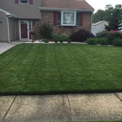 lawn Maintenance/ Grass Cutting, View more