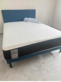 Queen Size New Bedframe for sale Free Delivery 