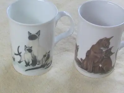 2 Cat Lovers Mugs Brand New in fine Bone China bought at Royal Doulton Store. Price $20 Cash Only
