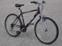 ADULT LARGE 26" TECH TEAM PROPULSION 21 SPD WITH SUSPENSION!