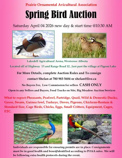 Bird /critter animal auction sale, View more