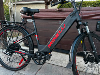 vélo électrique minelli MX36 avec 700 km -batterie 15 ah