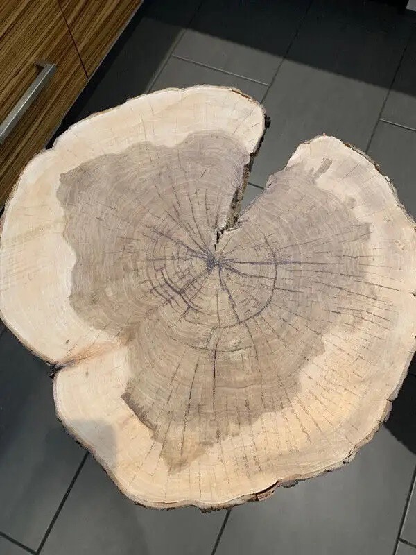 MID CENTURY MODERN MEETS LIVE EDGE APPLEWOOD SIDE TABLE Other Tables