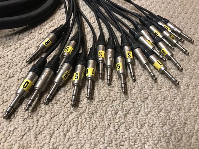 WHIRLWIND MULTIPIN CABLE TO FANOUT in Pro Audio & Recording Equipment in Oakville / Halton Region - Image 3