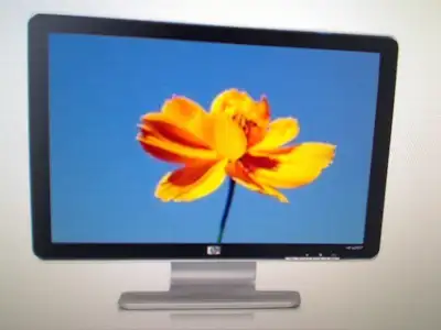 Reduced HP 20" Widescreen LCD Monitor w/Speakers DVI/VGA Inputs, View more