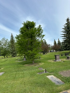 Burial Plot554748203616194567