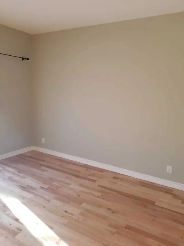 General renovation477739846709422081