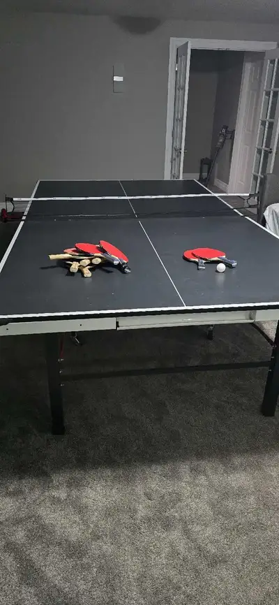 Ping pong table with paddles, View more