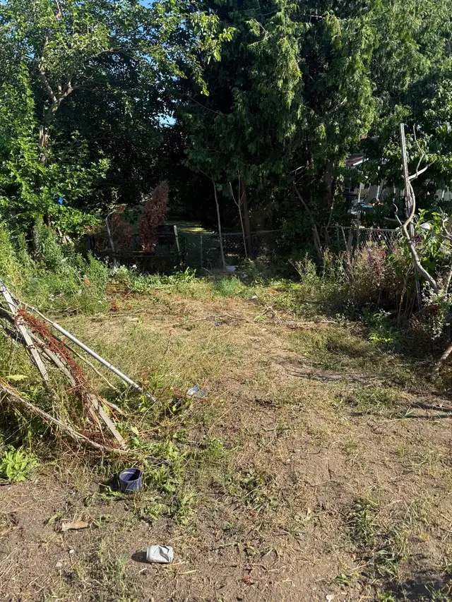 Landscaping & Lawn Care Services | Yard Cleanup & Grass Cutting in Lawn, Tree Maintenance & Eavestrough in City of Toronto - Image 7